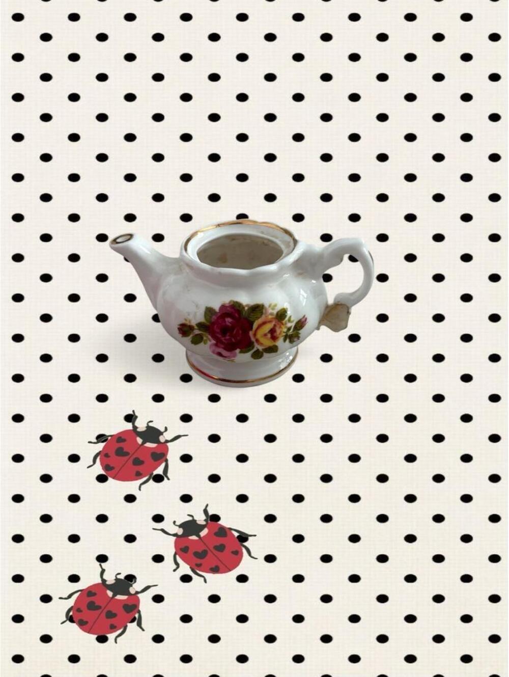 Multi and White Dinnerware